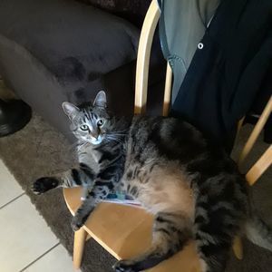 Meet your Posher, Cheryl